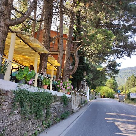 Hotel Toni Llogora Dukat المظهر الخارجي الصورة